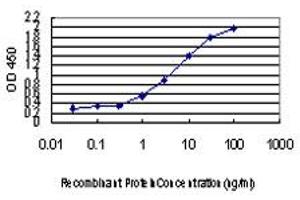 Detection limit for recombinant GST tagged JARID1A is approximately 0. (KDM5A antibody  (AA 191-290))