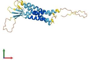 AlphaFold protein structure predicition of Human Recombinant TMEM204 Protein, UniprotID Q9BSN7 (TMEM204 Protein (AA 1-226) (His tag))