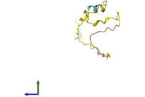 AlphaFold protein structure predicition of Mouse Recombinant Fam229b Protein, UniprotID Q8CF36