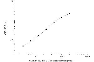 Smooth Muscle Actin ELISA Kit