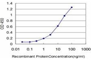 Detection limit for recombinant GST tagged CSE1L is approximately 0. (Exportin 2 antibody  (AA 872-971))