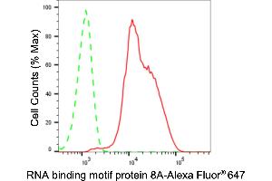 Flow cytometric analysis of RNA binding motif protein 8A expression in HeLa cells using RNA binding motif protein 8A antibody (ABIN7800255), 1:2,000). (Recombinant RBM8A antibody)