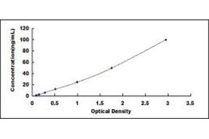 Typical standard curve (ADAMTS1 ELISA Kit)