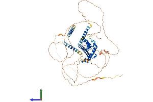 AlphaFold protein structure predicition of Mouse Recombinant Prox2 Protein, UniprotID Q8BII1
