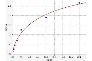 Dipeptidylpeptidase 10 (DPP10) ELISA Kit