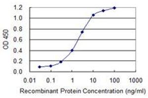 Detection limit for recombinant GST tagged TBR1 is 0.