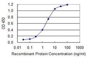 Detection limit for recombinant GST tagged TBR1 is 0. (TBR1 antibody  (AA 1-108))
