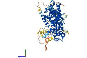 AlphaFold protein structure predicition of Mouse Recombinant Ppp2r3d Protein, UniprotID Q9Z176 (Ppp2r3d Protein (AA 1-491) (His tag))