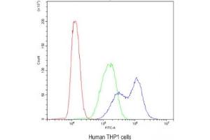 Flow cytometry testing of human THP1 cells with BIK antibody at 1ug/10^6 cells (blocked with goat sera) (BIK antibody  (AA 1-123))