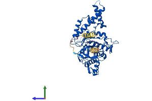 Protein Structure (PS) image for Hyaluronidase-4 (HYAL4) (AA 1-481) protein (His tag) (ABIN7556900)