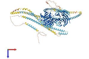 AlphaFold protein structure predicition of Mouse Recombinant Cfap57 Protein, UniprotID Q9D180