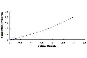 Typical Standard Curve (Caspase 7 ELISA Kit)