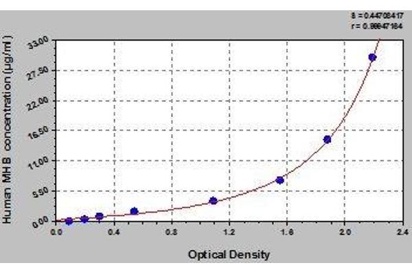 HBG2 ELISA Kit