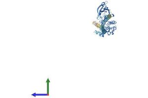 Protein Structure (PS) image for Death-Associated Protein Kinase 3 (DAPK3) (AA 1-448) protein (His tag) (ABIN7562409)
