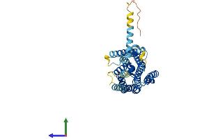 Protein Structure (PS) image for G Protein-Coupled Receptor 21 (GPR21) (AA 1-349) protein (His tag) (ABIN7548157)