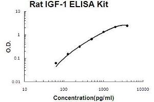 Rat IGF-1 PicoKine ELISA Kit standard curve (IGF1 ELISA Kit)