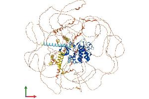 AlphaFold protein structure predicition of Human Recombinant CDK13 Protein, UniprotID Q14004
