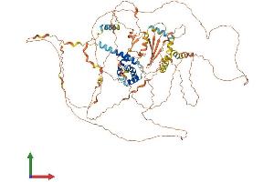 AlphaFold protein structure predicition of Human Recombinant NUTM2B Protein, UniprotID A6NNL0 (NUTM2B Protein (AA 1-878) (His tag))
