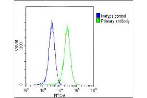 Overlay histogram showing Hela cells stained with (ABIN6243119 and ABIN6578706)(green line). (COPS7B antibody  (AA 61-95))
