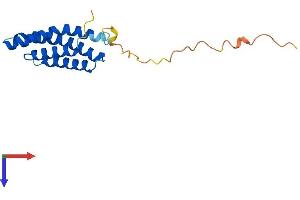 AGTRAP Protein (AA 1-161) (His tag)