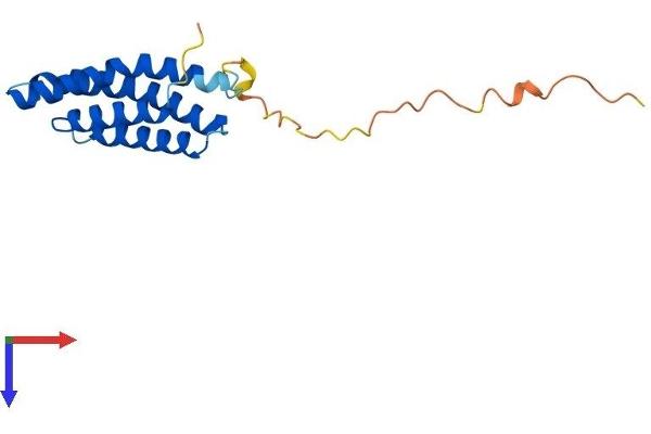AGTRAP Protein (AA 1-161) (His tag)