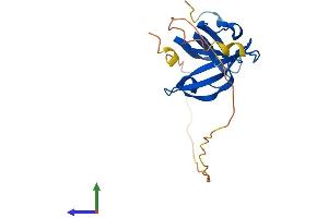 Protein Structure (PS) image for Oligonucleotide/oligosaccharide-Binding Fold Containing 2A (OBFC2A) (AA 1-198) protein (His tag) (ABIN7558589)