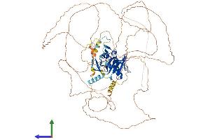 AlphaFold protein structure predicition of Mouse Recombinant Esco1 Protein, UniprotID Q69Z69 (ESCO1 Protein (AA 1-843) (His tag))