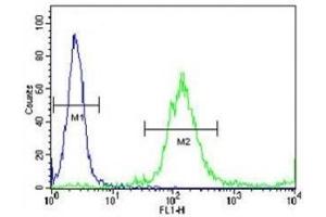 Flow Cytometry (FACS) image for anti-Nuclear Factor-kB p65 (NFkBP65) (AA 10-37) antibody (ABIN3029810)