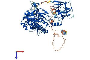 AlphaFold protein structure predicition of Mouse Recombinant Galnt11 Protein, UniprotID Q921L8 (GALNT11 Protein (AA 1-608) (His tag))