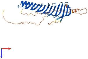 RSPH1 Protein (AA 1-309) (His tag)