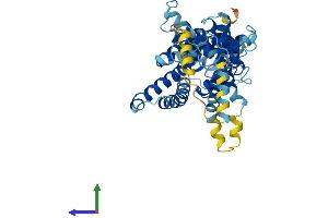 AlphaFold protein structure predicition of Mouse Recombinant Tmem135 Protein, UniprotID Q9CYV5