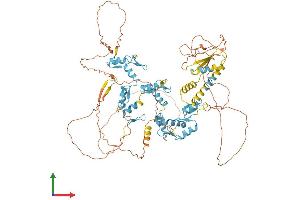 Protein Structure (PS) image for E4F Transcription Factor 1 (E4F1) (AA 1-784) protein (His tag) (ABIN7553737)