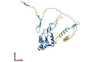 AlphaFold protein structure predicition of Mouse Recombinant Grxcr1 Protein, UniprotID Q50H32