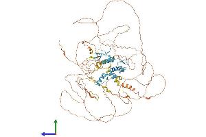 AlphaFold protein structure predicition of Human Recombinant ATMIN Protein, UniprotID O43313 (ATM Interactor Protein (ATMIN) (AA 1-823) (His tag))