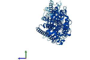 Protein Structure (PS) image for Arachidonate 15-Lipoxygenase B (ALOX15B) (AA 1-676) protein (His tag) (ABIN7554495)