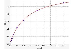 Typical standard curve (RUVBL1 ELISA Kit)