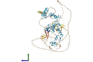 AlphaFold protein structure predicition of Human Recombinant ZNF408 Protein, UniprotID Q9H9D4