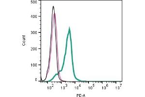 Cell surface detection of Opsin 3 by indirect flow cytometry in live intact human  monocytic leukemia cell line: + goat-anti-rabbit-PE.