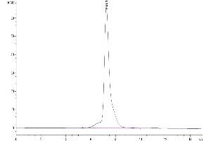 The purity of Human OSMR is greater than 95 % as determined by SEC-HPLC.