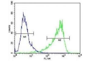 HIF1A antibody flow cytometric analysis of NIH3T3 cells (right histogram) compared to a negative control cell (left histogram).