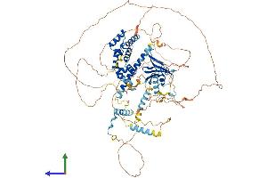 Protein Structure (PS) image for Axin 1 (AXIN1) (AA 1-863) protein (His tag) (ABIN7562345)