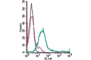 Cell surface detection of GPR171 in live intact human Jurkat T-cell leukemia cells: (black line) Cells. (GPR171 antibody  (2nd Extracellular Loop))