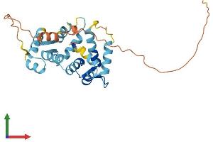 AlphaFold protein structure predicition of Human Recombinant KCNIP3 Protein, UniprotID Q9Y2W7