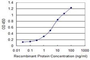 Detection limit for recombinant GST tagged GLE1 is 0. (GLE1 antibody  (AA 140-240))