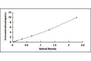 Typical standard curve (ASMT ELISA Kit)