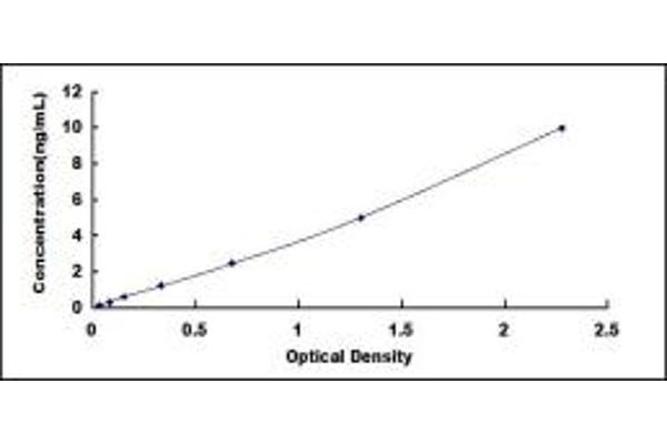 ASMT ELISA Kit