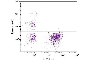 Chicken peripheral blood lymphocytes were stained with Mouse Anti-Chicken Lambda-PE. (Mouse anti-Chicken lambda Antibody)