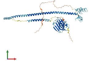 AlphaFold protein structure predicition of Mouse Recombinant Trim16 Protein, UniprotID Q99PP9 (TRIM16 Protein (AA 1-556) (His tag))
