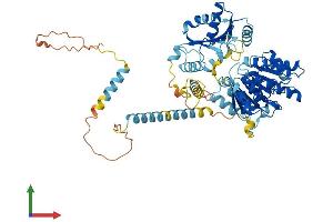 Protein Structure (PS) image for DEAD (Asp-Glu-Ala-Asp) Box Polypeptide 41 (DDX41) (AA 1-622) protein (His tag) (ABIN7547017)