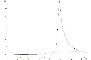 The purity of Mouse FGF21 is greater than 95 % as determined by SEC-HPLC. (FGF21 Protein (AA 29-210) (His tag))
